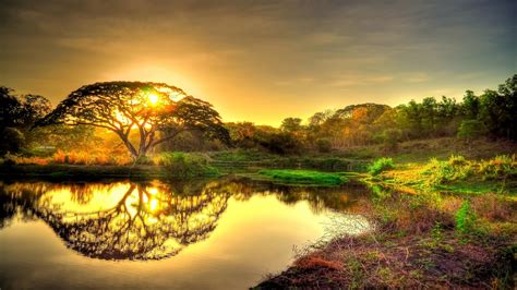 Sunset Pond Trees Landscape X R Wallpaper