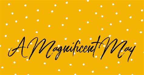A Magnificent May Cicis Corner F