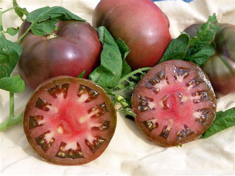 Heirloom Brandywine Tomato