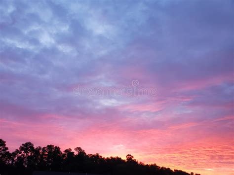 36100 Beautiful Sunrise Pink Clouds Stock Photos Free And Royalty Free