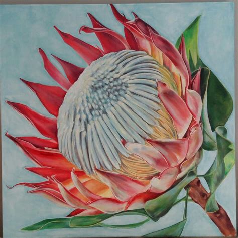 Protea By Molawrenson Protea Art Botanical Painting Flower