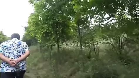 Free Old Fat Porn Videos XHamster