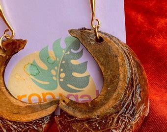 Sandbox Tree Seeds - Etsy