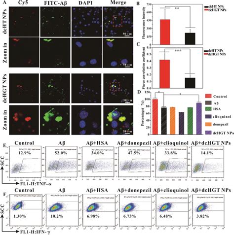 Effects Of Dchgt Nps On Cellular Uptake Distribution And Inflammatory