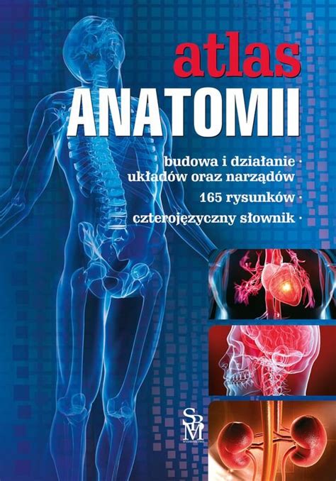 Atlas anatomii Mazurek Justyna Książka w Empik