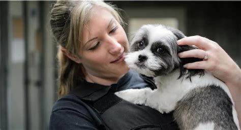 Oroville SPCA: Rescuing Hearts! Find Your Perfect Furry 2023