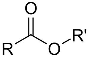 Ester Bond: Structure, Properties, Synthesis, Hydrolysis