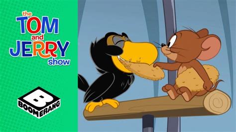 Tom Misses Jerry Tom And Jerry Videos Boomerang