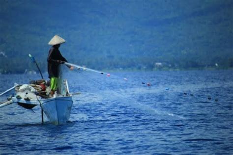 Pulau Wawonii Terancam Krisis Ikan Harian Publik