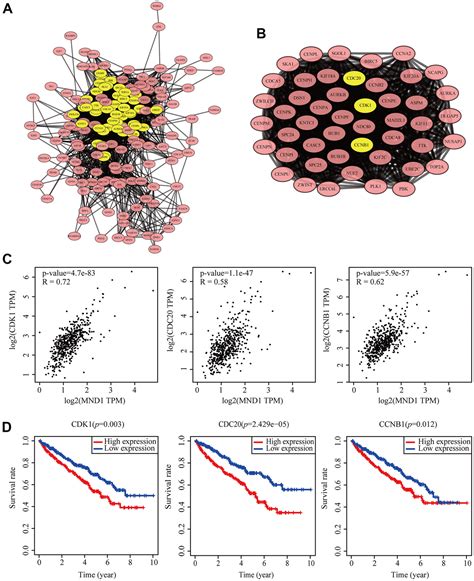 Mnd1 Functions As A Potential Prognostic Biomarker Associated With Cell Cycle And Immune