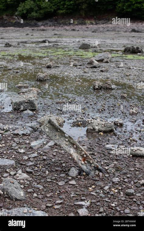 Silty Soil Hi Res Stock Photography And Images Alamy