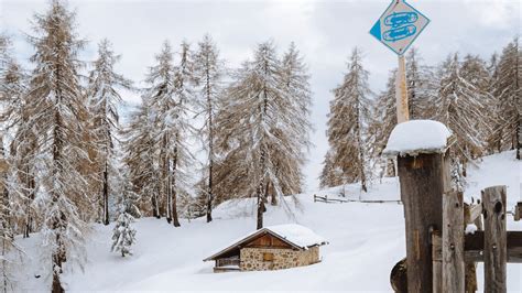 Hotel Vittoria Fare Unescursione Con Le Ciaspole Di Val Di Sole