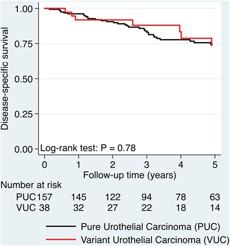 Mp49 17 Clinical Outcomes Of Patients With Histologic Variants Of