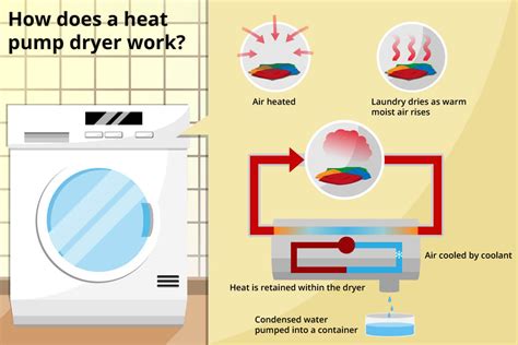 Heat Pump Tumble Dryer Review And Comparison 2022 Finalcheck