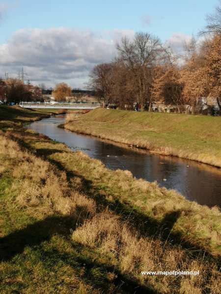 Warta River in Czestochowa - Photo 1609/1753