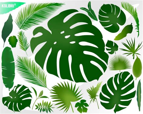 Feuille Svg Feuilles Svg Clipart De Feuille Monstera Svg Etsy France