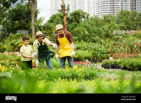 Parents Asking Little Son To Water Flowers At Plant Nursery Stock Photo