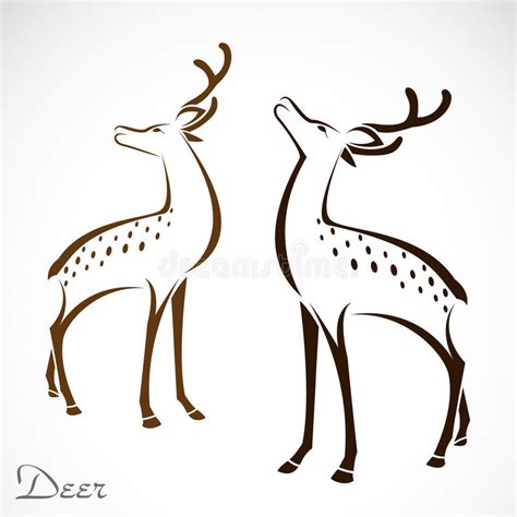 Cerfs Communs Illustration De Vecteur Illustration Du Noir 20657509