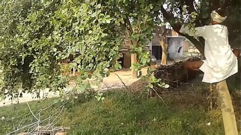 Xvideos Xxx Mobile Porno Videos Movies IPornTV Net