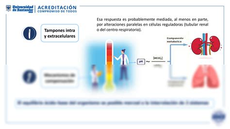 Solution Trastornos Del Equilibrio Cido Base Studypool