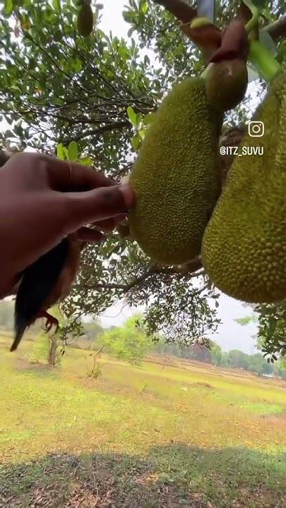 সব জায়গায় ক্ষমতা দেখাতে নেই। তা না হলে এভাবে আটকে যাবে। Youtube