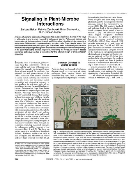 Pdf Signaling In Plant Microbe Interactions Dokumentips