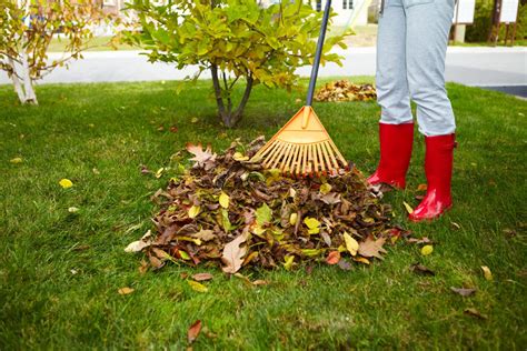 Do I Really Have To Rake My Leaves Epling Landscaping And Lawn Service