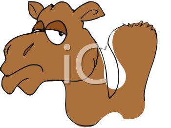 Camel head clipart 20 free Cliparts | Download images on Clipground 2024