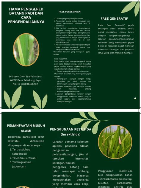 Hama Penggerek Batang Padi Dan Cara Pengendaliannya Pdf