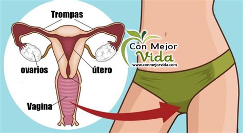 Las mujeres necesitan dejar de hacer estas cosas a sus partes íntimas