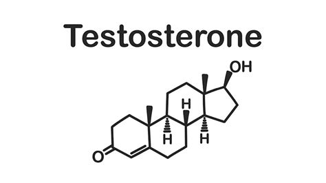 What is Testosterone: Deficiency, Treatment | Koru Hospital