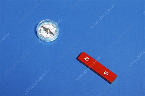 Magnet and Compass - Stock Image - C009/4571 - Science Photo Library