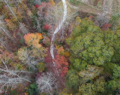Premium Photo Aerial Photo Of Fall Colors On Lake
