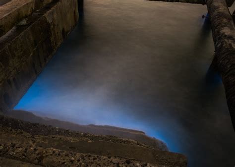 Beautiful Photos of Beaches That Naturally Glow | Reader's Digest