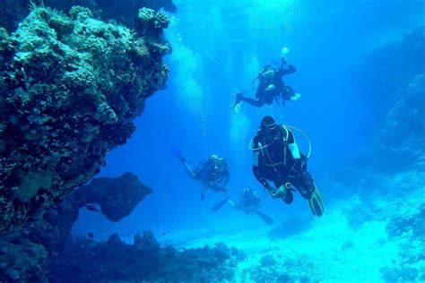 Komodo An Unforgettable Diving Destination Desertdivers