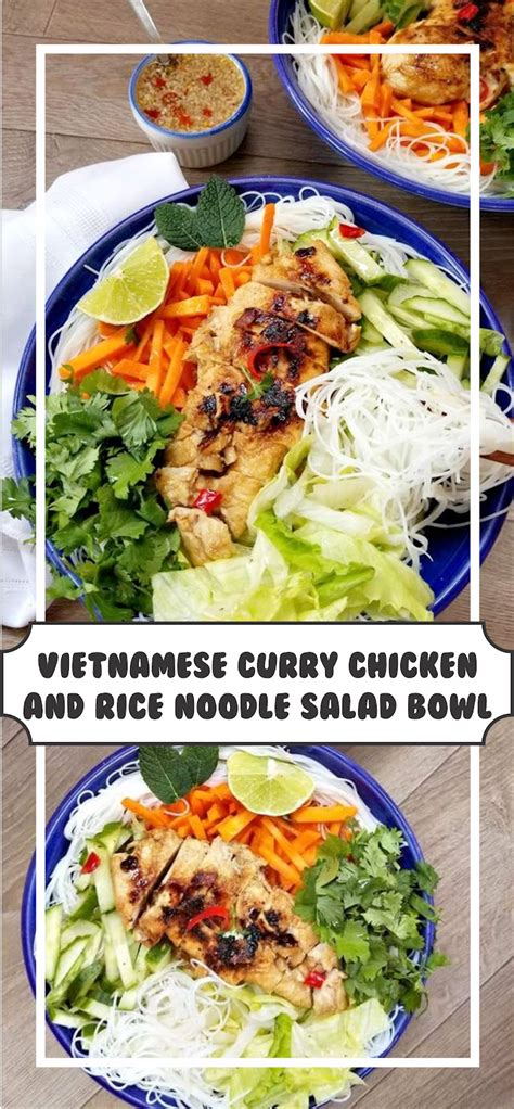 Vietnamese Curry Chicken And Rice Noodle Salad Bowl Floats Co