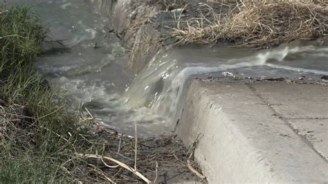 Valle De Las Palmas Vive Entre Aguas Negras Y Excremento