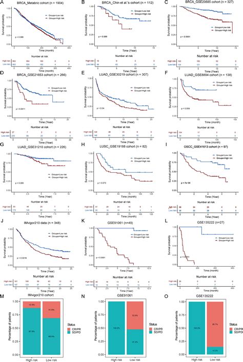 Transcriptome Analysis Of Tertiary Lymphoid Structures Tlss Related