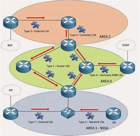 Tìm Hiểu Các Loại Area Lsa Type Network Type Trong Giao Thức định