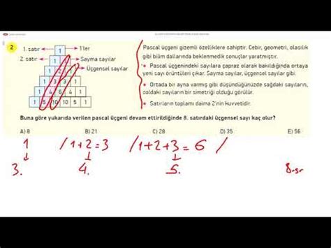 S N F Matematik Beceri Temelli Soru Bankas Z Mleri Nite Test