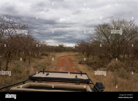 Serengeti Safari Vehicle Hi Res Stock Photography And Images Alamy