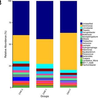 Distribution Of Microbial Community Structure In The Ifas System A B