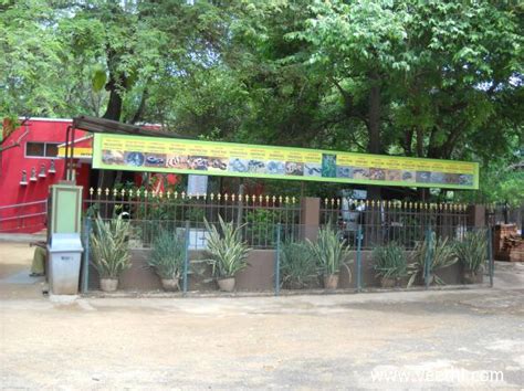 Entrance to Guindy Snake Park in Chennai... | Veethi