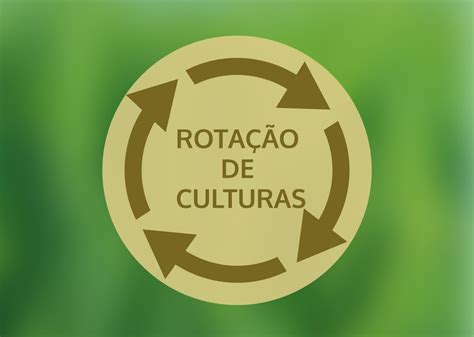 Conhe A O Que A Rota O De Culturas