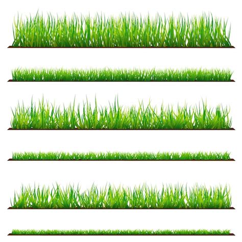Conjunto De Fondos De Hierba Verde Aislado Sobre Fondo Blanco