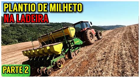 Acabando o plantio de MILHETO para adubação verde cobertura de palhada