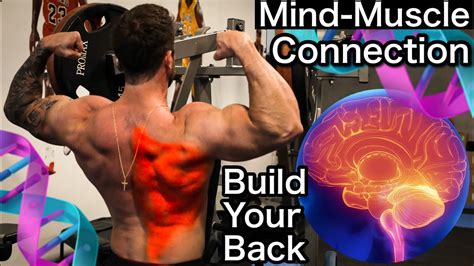 BUILD YOUR BACK W THIS MIND MUSCLE CONNECTION EXERCISE YouTube