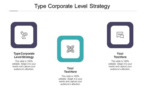 Type Corporate Level Strategy Ppt Powerpoint Presentation Layouts