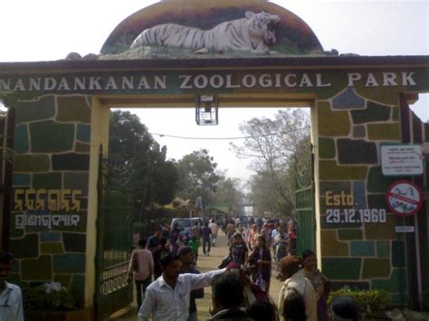 Nandankanan Zoological Park - Bhubaneswar