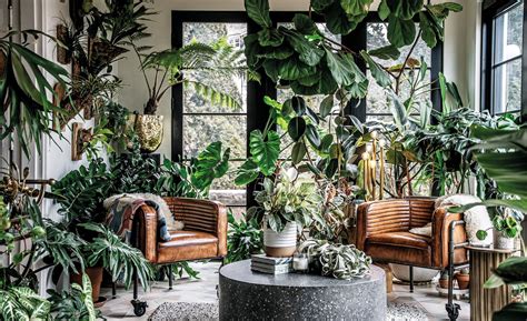 What Plants Are Best For A Lush Indoor Garden Livingetc